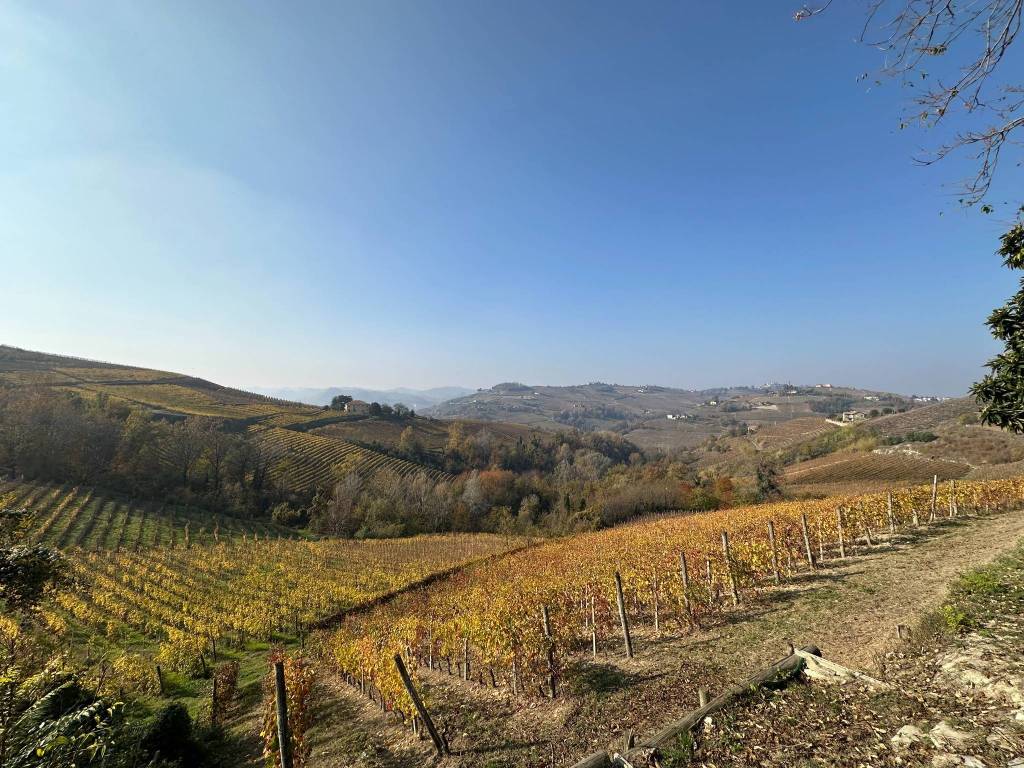 Rustico / casale a Canelli in Regione Santa Libera - Foto 5