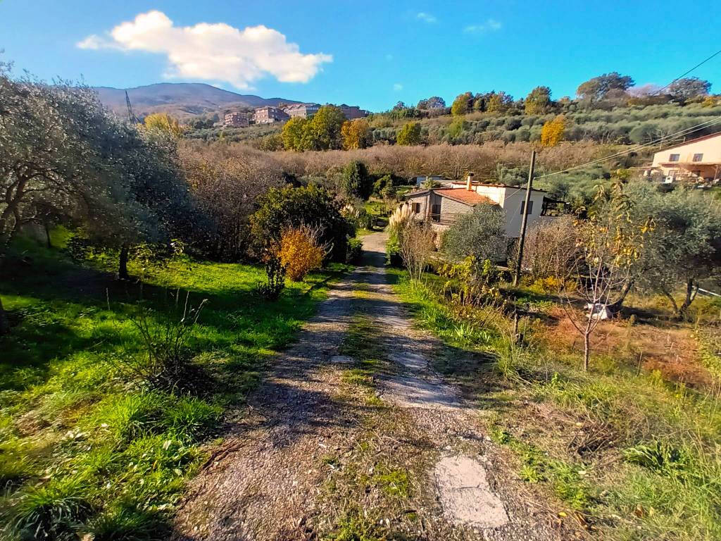 Casa indipendente a Soriano nel cimino in Contrada Madonna di Loreto - Foto 5