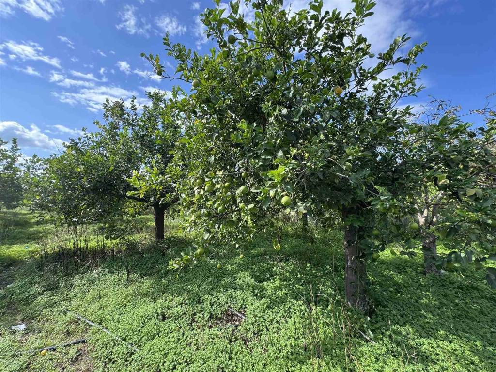 Villa a Avola - Foto 5