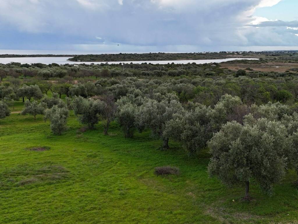 Rustico / casale a Noto in SP19 - Foto 2