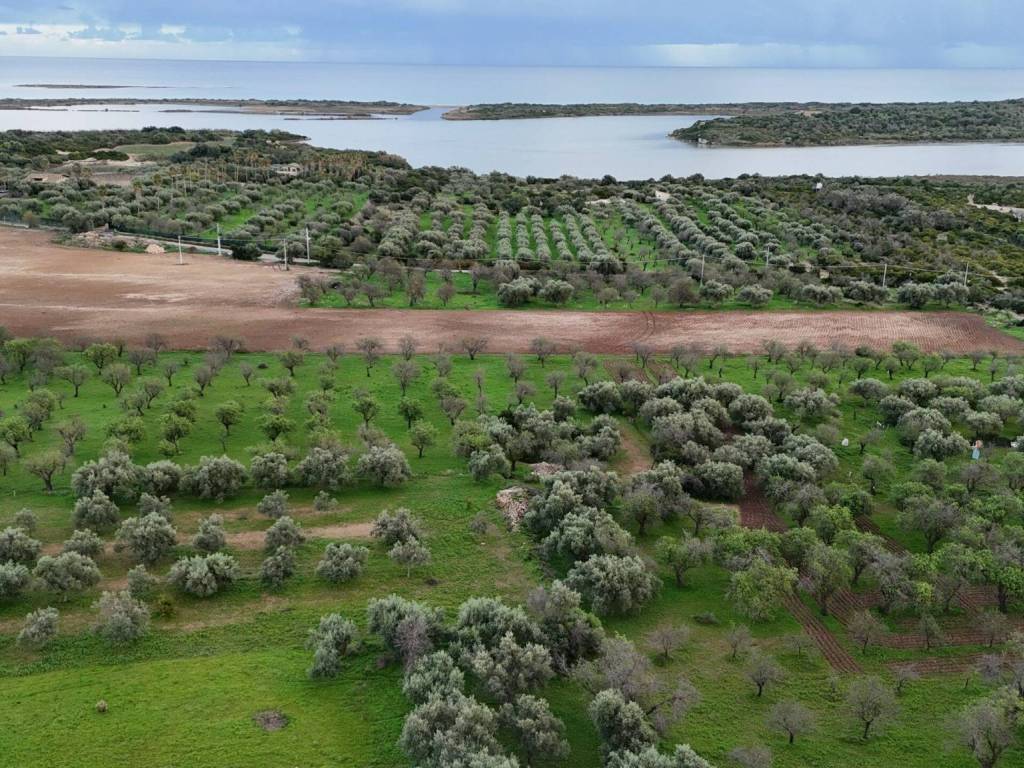 Rustico / casale a Noto in SP19 - Foto 3