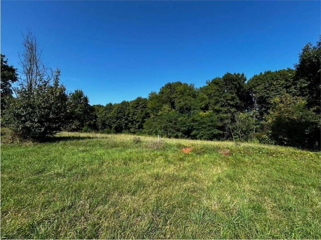 Terreno a Druento - Foto 3