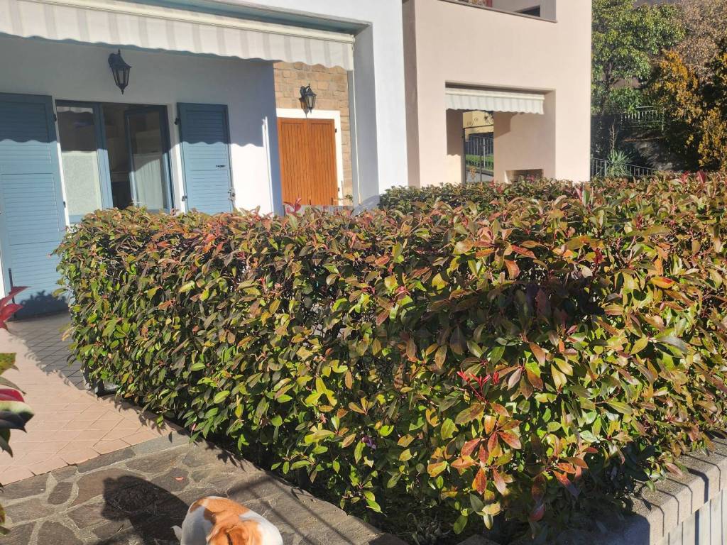 Appartamento a Ranzanico in Via dei Carpini - Foto 4