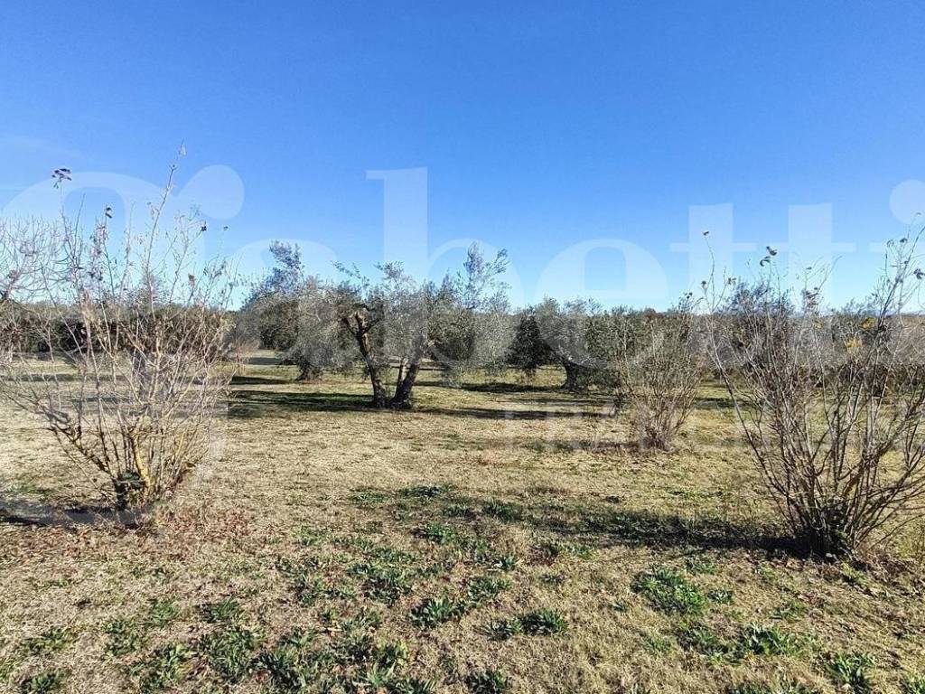 Terreno a Vasanello in via San Giuseppe, 5 - Foto 4
