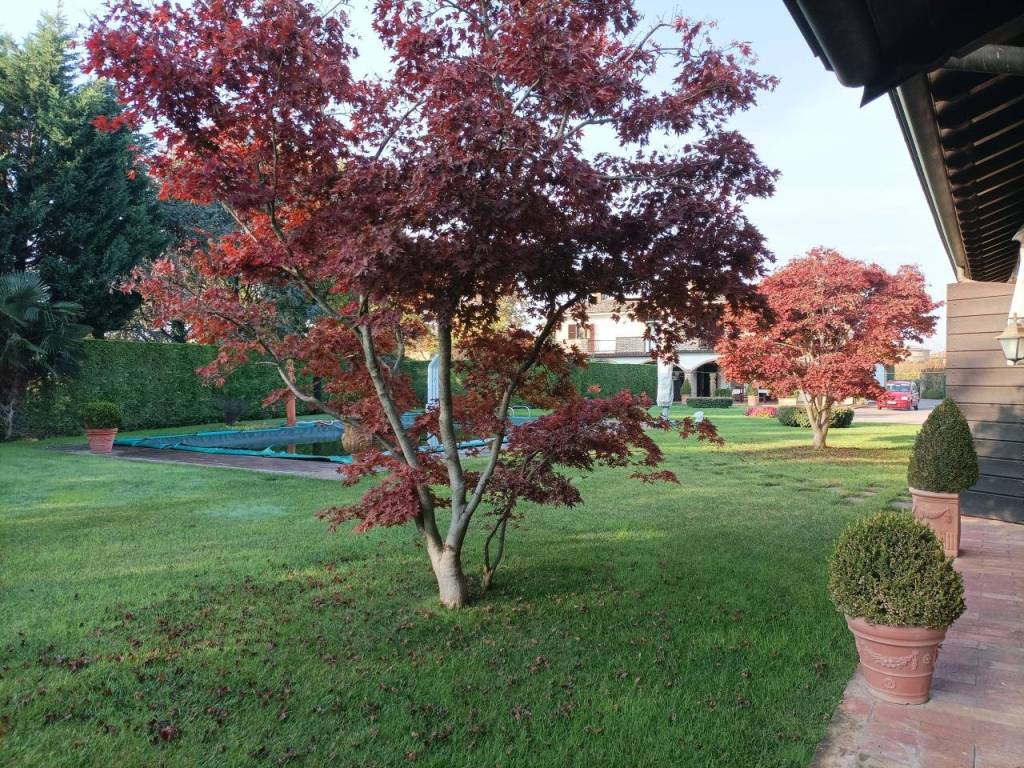 Villa a Gossolengo in Viale dei Rivi, 1 - Foto 5