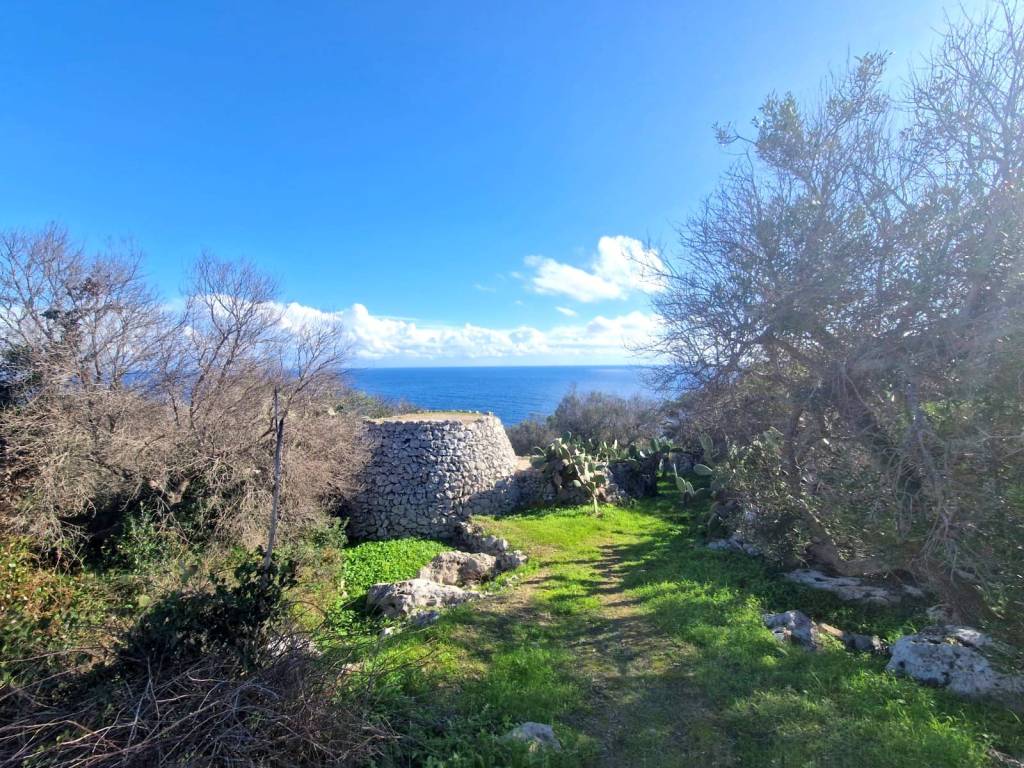 Rustico / casale a Gagliano del capo in SP358 - Foto 2