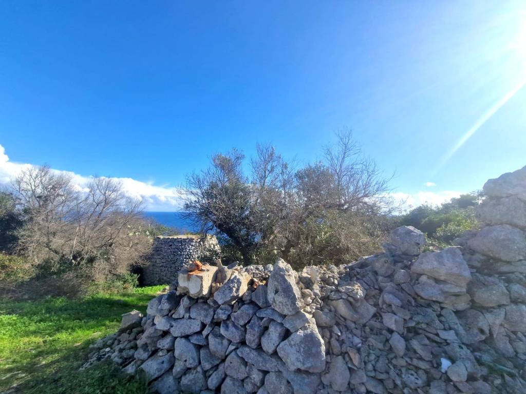Rustico / casale a Gagliano del capo in SP358 - Foto 3