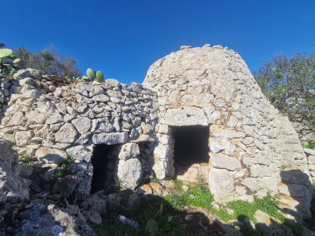 Rustico / casale a Gagliano del capo in SP358 - Foto 4