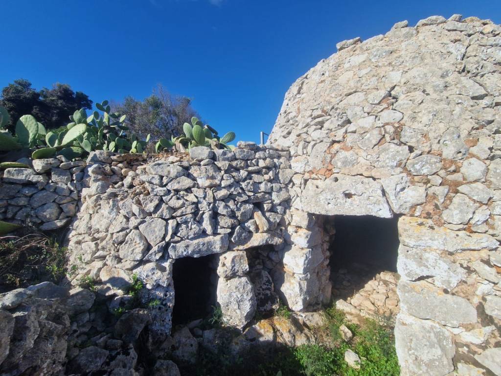 Rustico / casale a Gagliano del capo in SP358 - Foto 5