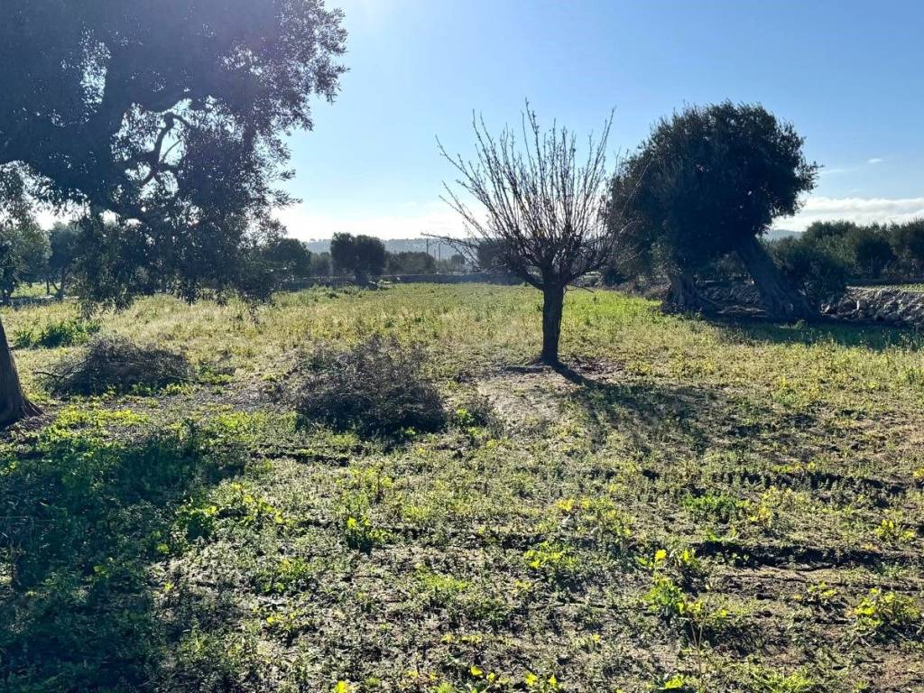 Villa a Polignano a mare in Strada Comunale Rascazzo - Foto 3