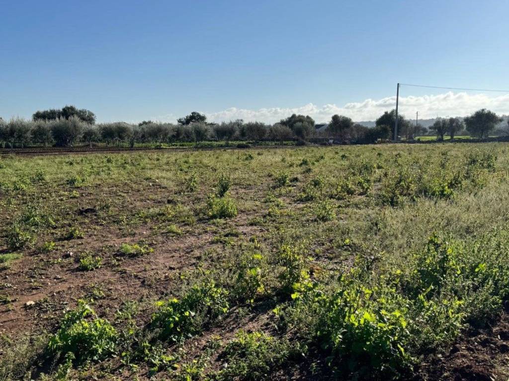 Villa a Polignano a mare in Strada Comunale Rascazzo - Foto 4