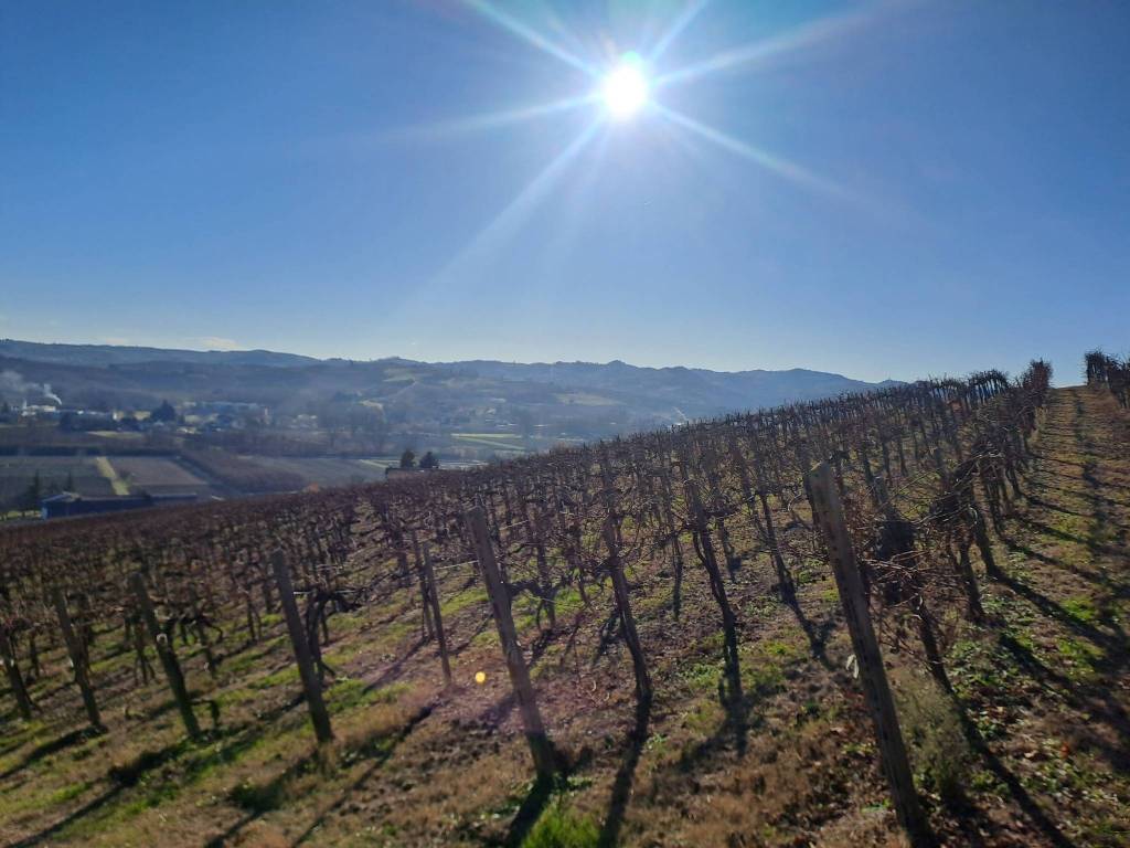 Terreno a Nizza monferrato in Strada Vecchia di Calamandrana - Foto 2