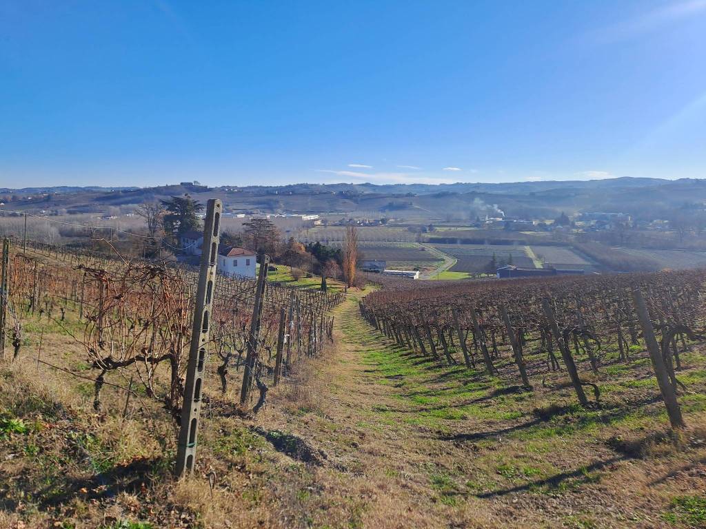 Terreno a Nizza monferrato in Strada Vecchia di Calamandrana - Foto 3