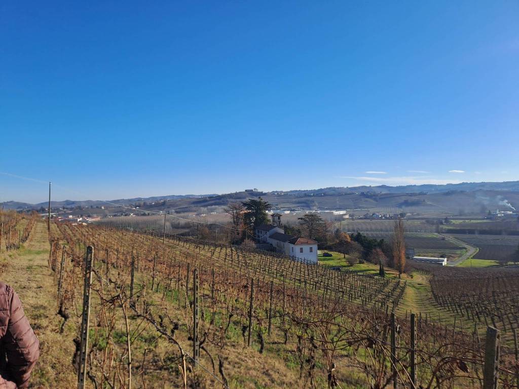 Terreno a Nizza monferrato in Strada Vecchia di Calamandrana - Foto 4