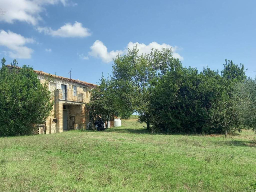Rustico / casale a Offida in Contrada Lava - Foto 5