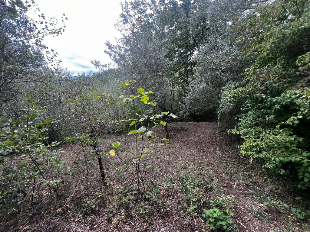 Terreno a San michele di serino in Via Felettelle - Foto 5