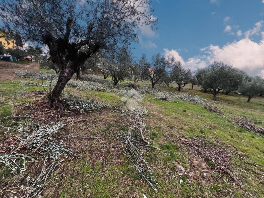 Terreno a Notaresco in Contrada Vallevignale - Foto 2