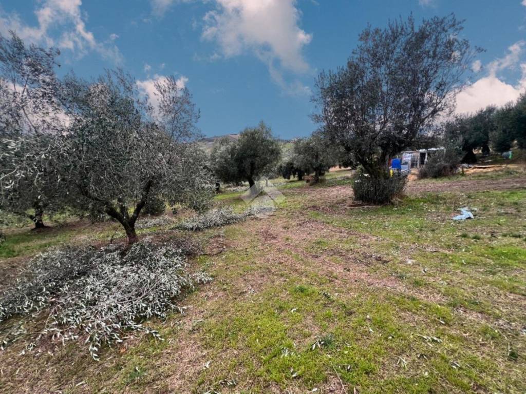 Terreno a Notaresco in Contrada Vallevignale - Foto 3