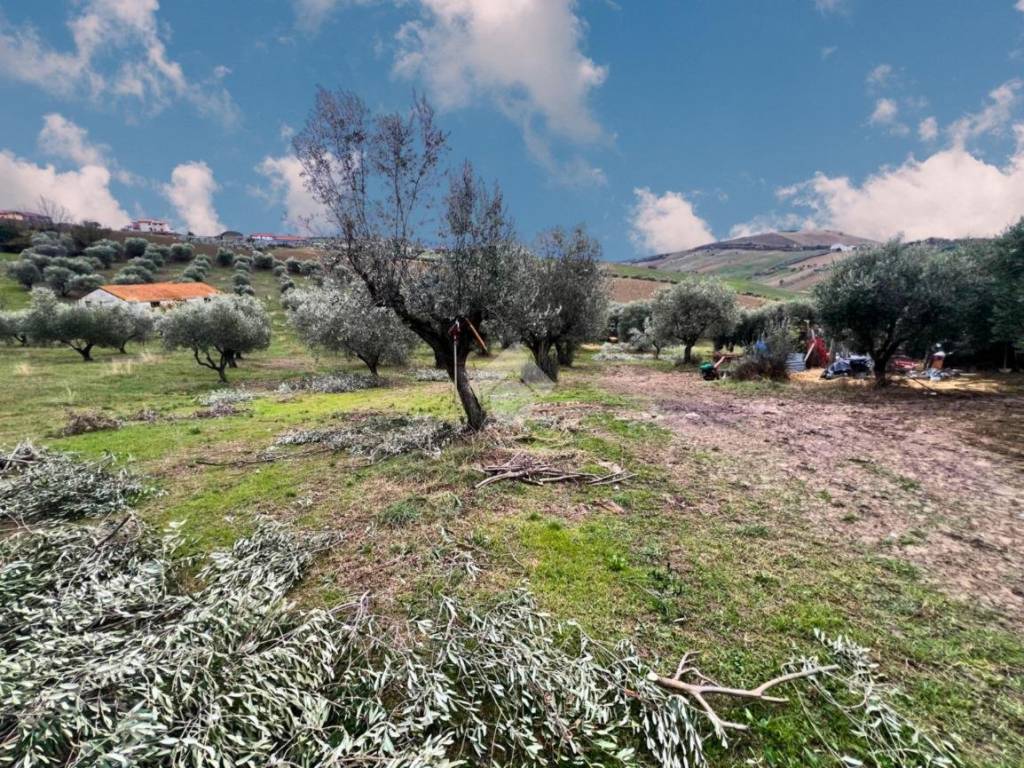 Terreno a Notaresco in Contrada Vallevignale - Foto 4