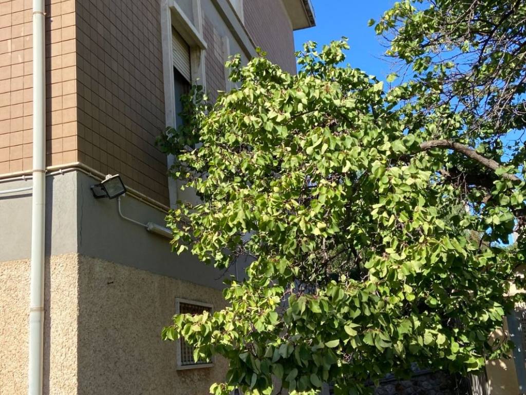 Palazzo / stabile a Santa marinella in Via Ortigara - Foto 4
