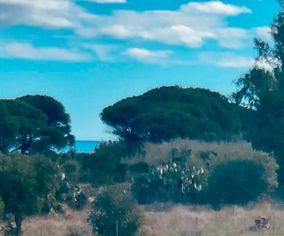 Rustico / casale a Muravera - Foto 2