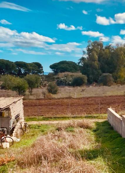 Rustico / casale a Muravera - Foto 5