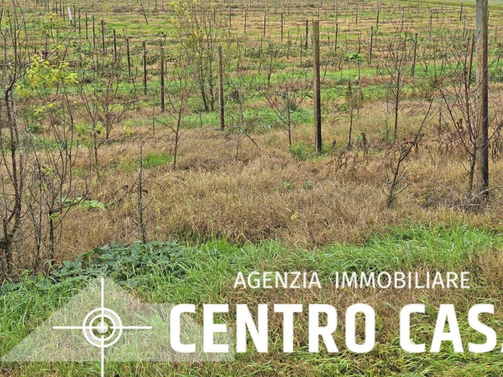 Terreno a Massa lombarda - Foto 2