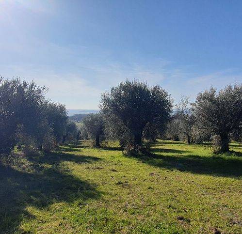 Terreno a Tuoro sul trasimeno - Foto 2