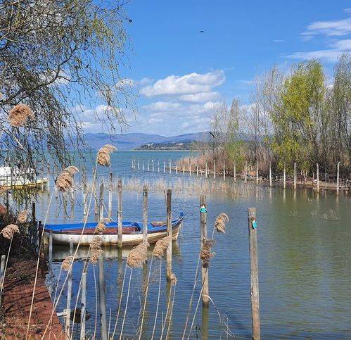 Terreno a Tuoro sul trasimeno - Foto 5