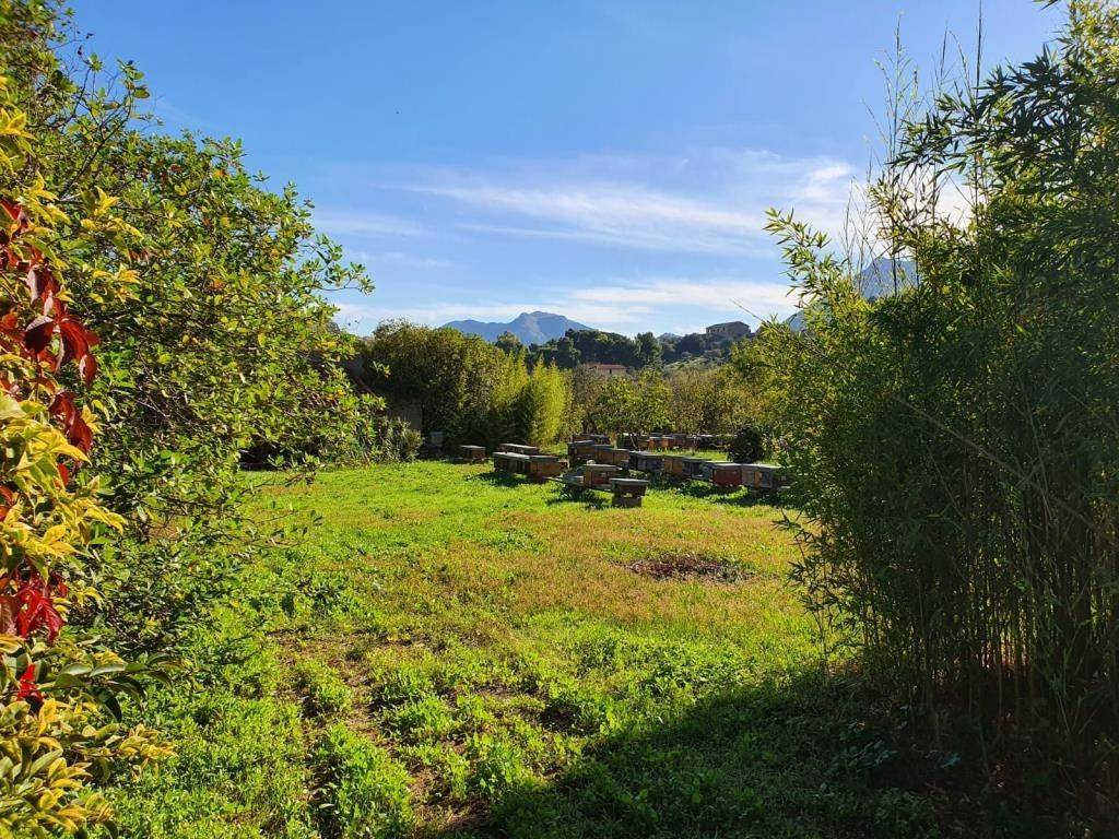Villa a Monreale in Via Pezzingoli - Foto 2