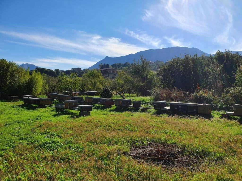 Villa a Monreale in Via Pezzingoli - Foto 3