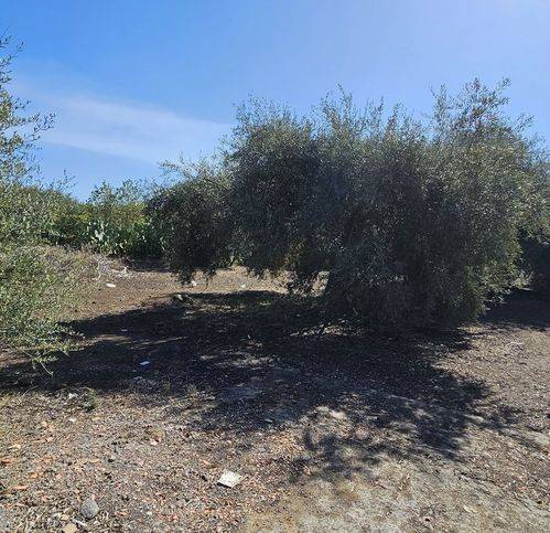 Terreno a Belpasso in Strada Provinciale 56Ii - Foto 2