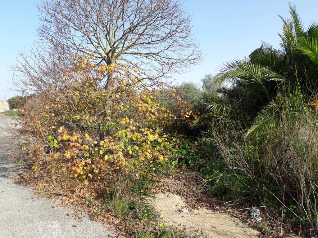Terreno a Sassari in Predda Niedda-Strada 43 - Foto 2