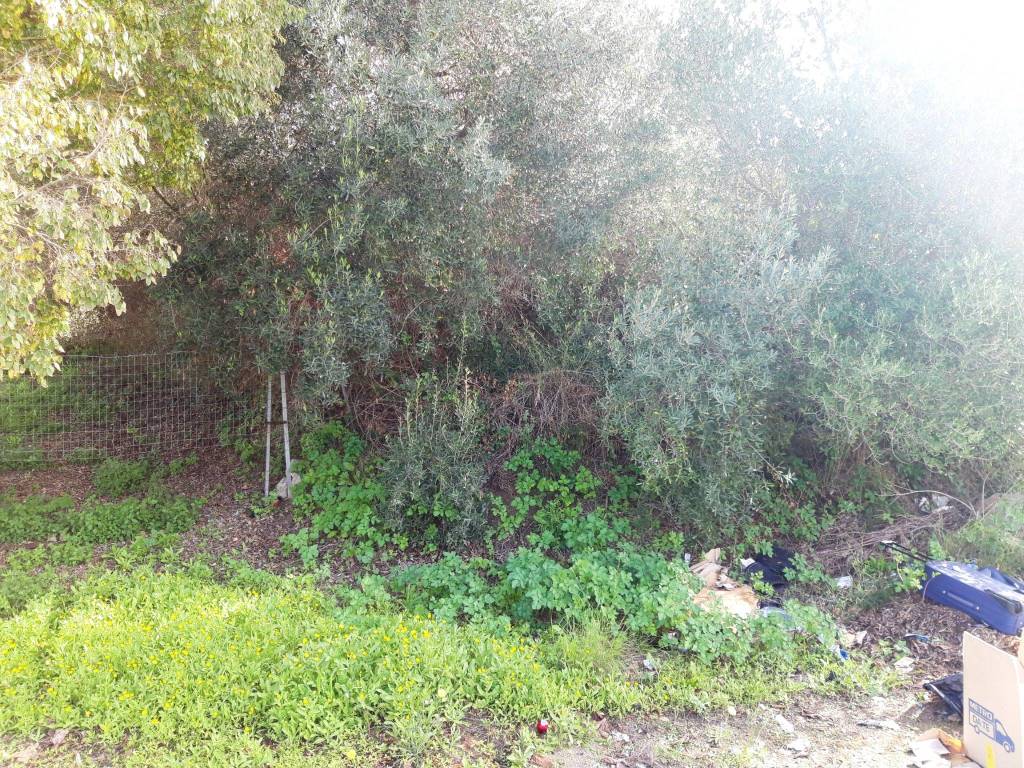 Terreno a Sassari in Predda Niedda-Strada 43 - Foto 3