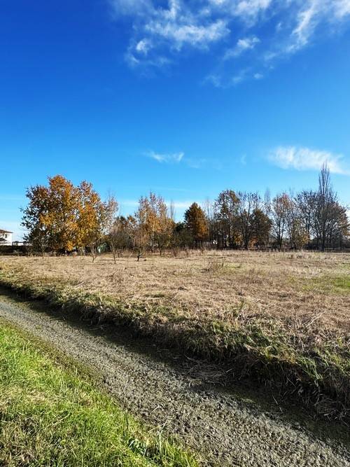 Terreno a Ferrara in Via Spinazzino - Foto 2