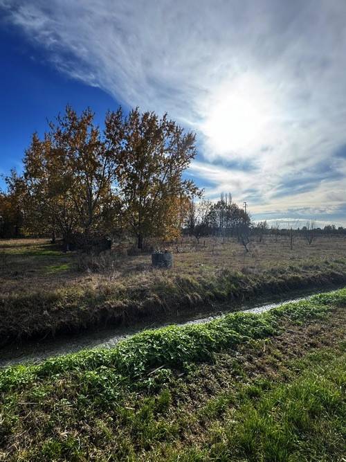 Terreno a Ferrara in Via Spinazzino - Foto 3