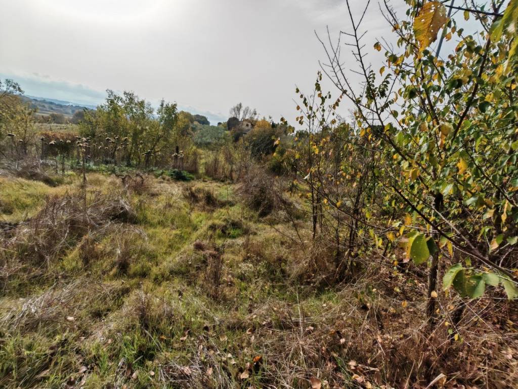 Villa a Foiano della chiana in Via di Lucignano - Foto 4