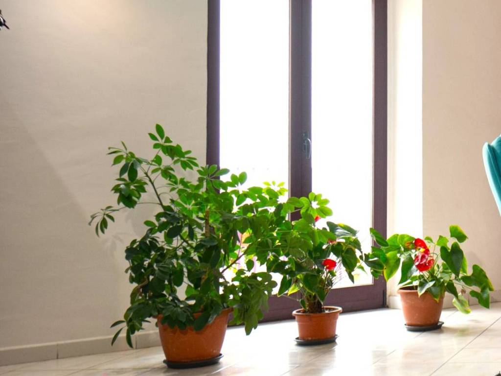 Villa a San fele - Foto 4