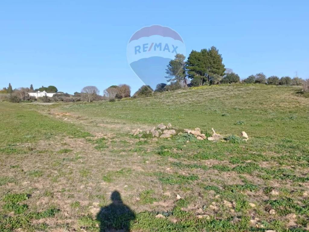 Terreno a Grammichele in Via Luigi Einaudi - Foto 5
