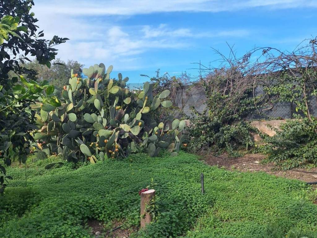 Terreno a Belpasso in strada comunale mulini - Foto 2