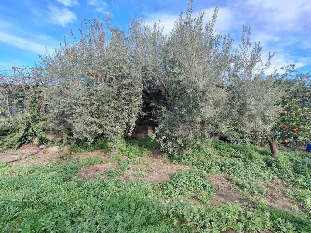 Terreno a Belpasso in strada comunale mulini - Foto 4