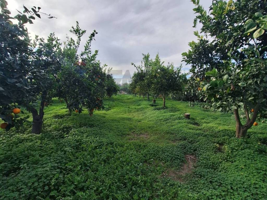 Terreno a Belpasso in strada comunale mulini - Foto 5