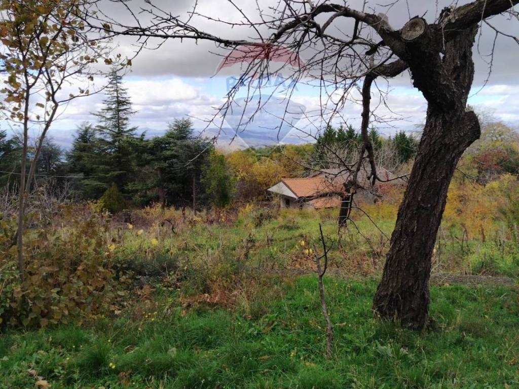 Terreno a Adrano in Contrada Calabrese - Foto 5