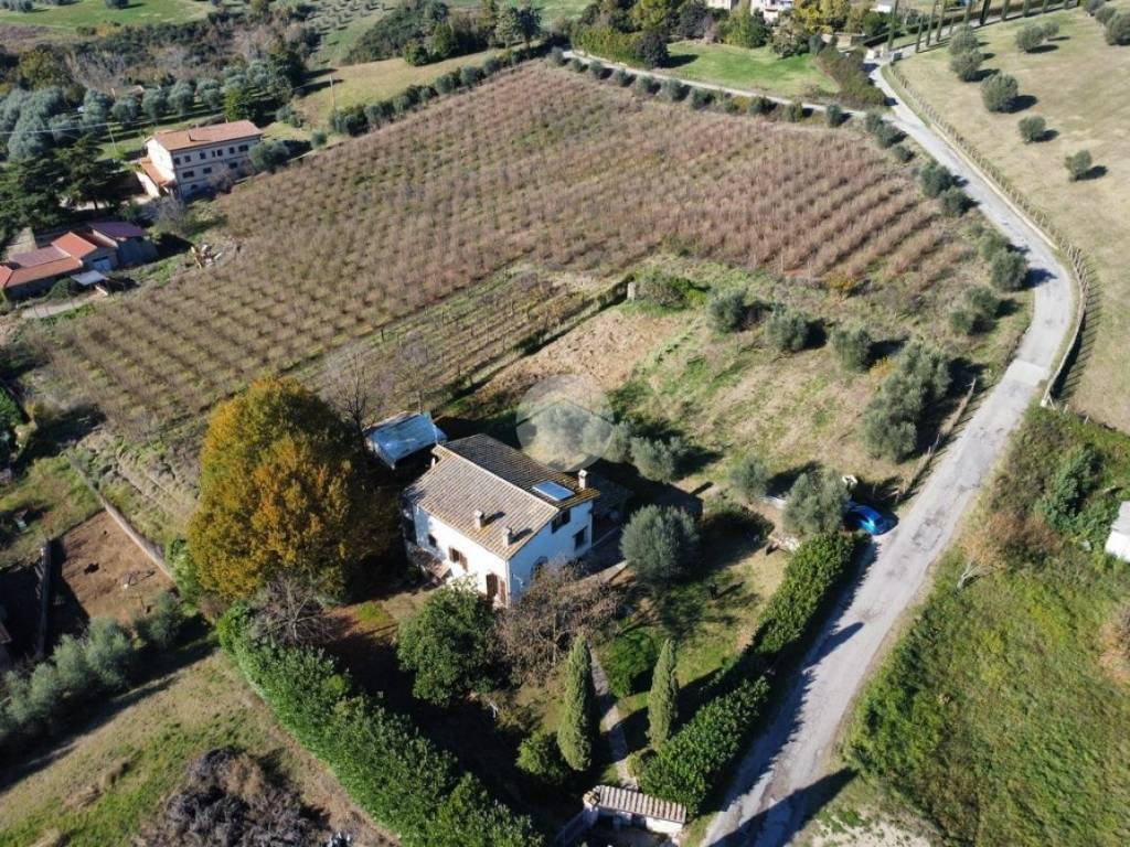 Villa a Tarano in VIA TENUTELLE, 71 - Foto 2