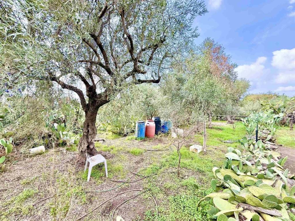 Terreno a Belpasso in Sp56i - Foto 2