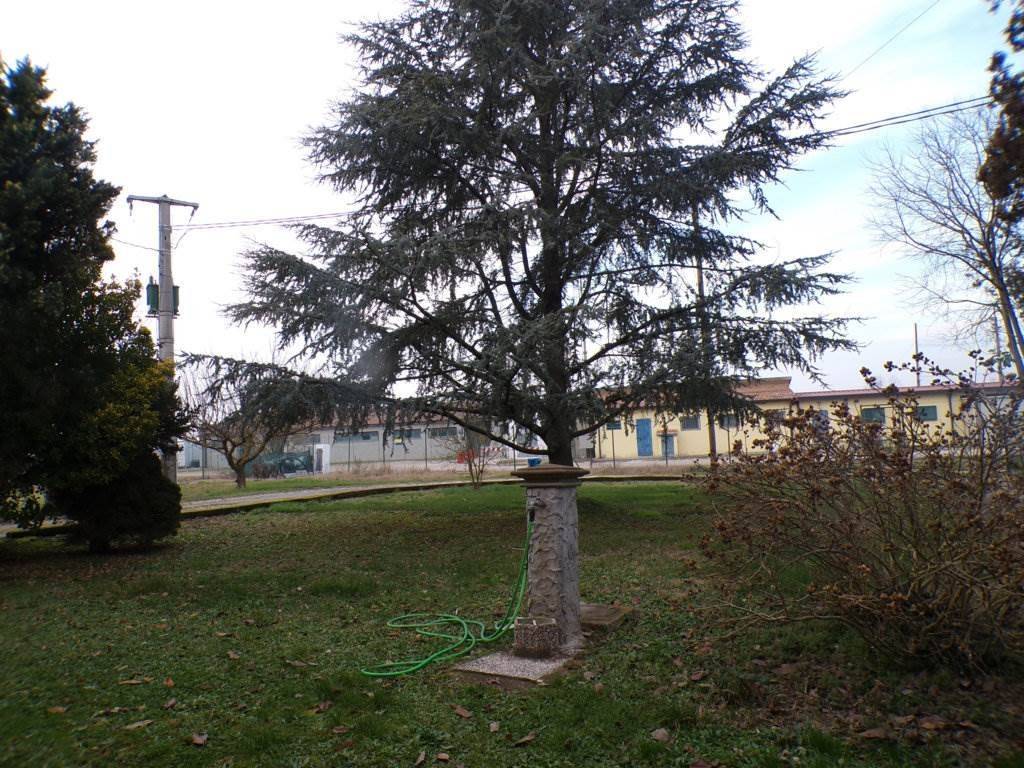 Casa indipendente a Ostellato in Via strada mezzano, 18 - Foto 3