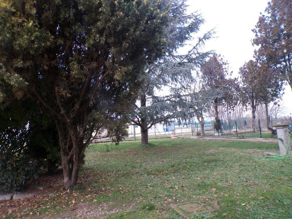 Casa indipendente a Ostellato in Via strada mezzano, 18 - Foto 5