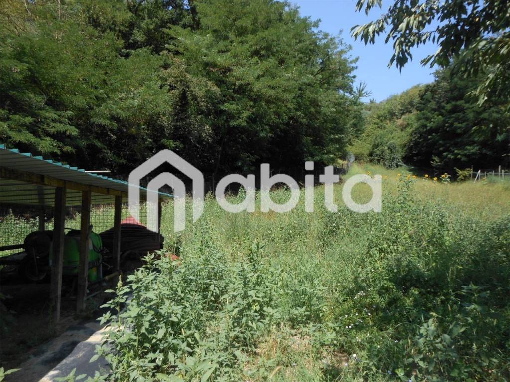 Terreno a Terranuova bracciolini in PENNA - Foto 3