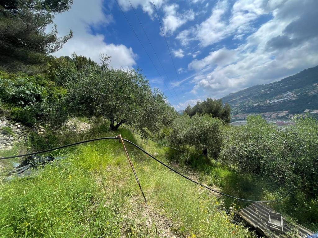 Terreno a Camporosso in Strada Ciaixe - Foto 2