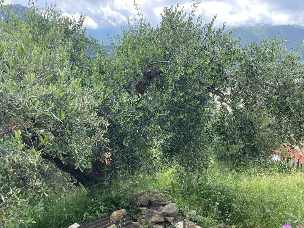 Terreno a Camporosso in Strada Ciaixe - Foto 3